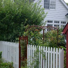 IMGP1437